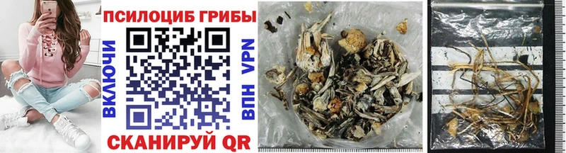 Псилоцибиновые грибы MAGIC MUSHROOMS  Купить где  Карталы 